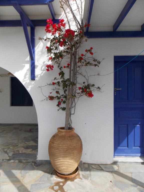 Aparthotel Porto Apergis Agios Ioannis  Esterno foto